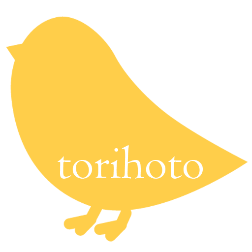 torihoto